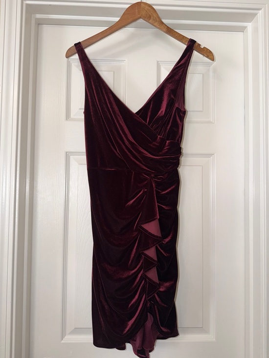 Db Studio Dresses & Skirts - David’s Bridal 4 Elegant Burgundy Velvet Draped V-Neck Dress.